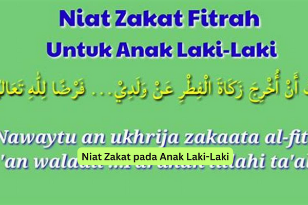 Niat Zakat pada Anak Laki-Laki