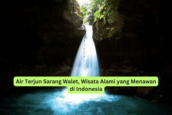 Air Terjun Sarang Walet, Wisata Alami yang Menawan di Indonesia