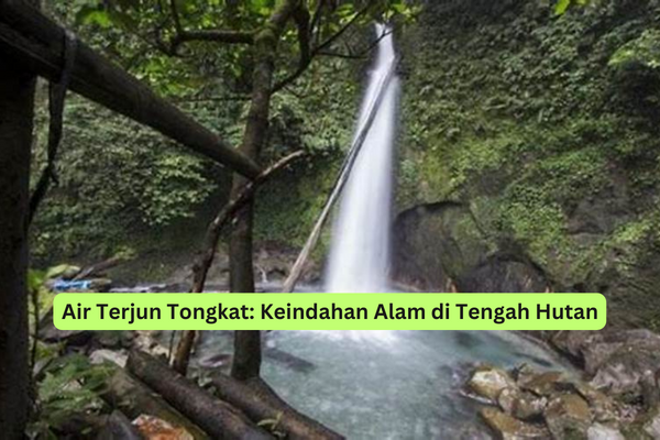 Air Terjun Tongkat Keindahan Alam di Tengah Hutan