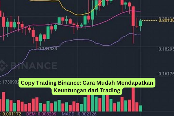 Copy Trading Binance Cara Mudah Mendapatkan Keuntungan dari Trading