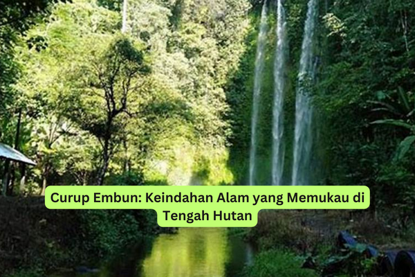 Curup Embun Keindahan Alam yang Memukau di Tengah Hutan