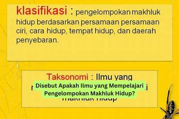 Disebut Apakah Ilmu yang Mempelajari Pengelompokan Makhluk Hidup