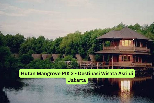 Hutan Mangrove PIK 2 - Destinasi Wisata Asri di Jakarta