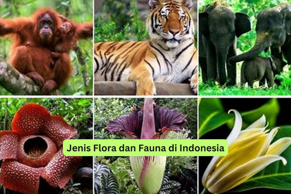 Jenis Flora dan Fauna di Indonesia