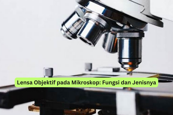 Lensa Objektif pada Mikroskop Fungsi dan Jenisnya