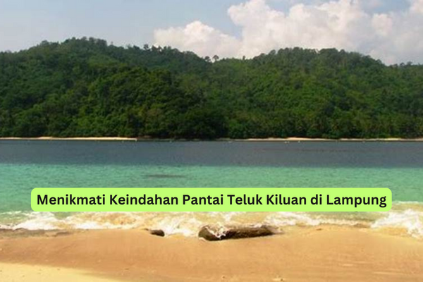 Menikmati Keindahan Pantai Teluk Kiluan di Lampung