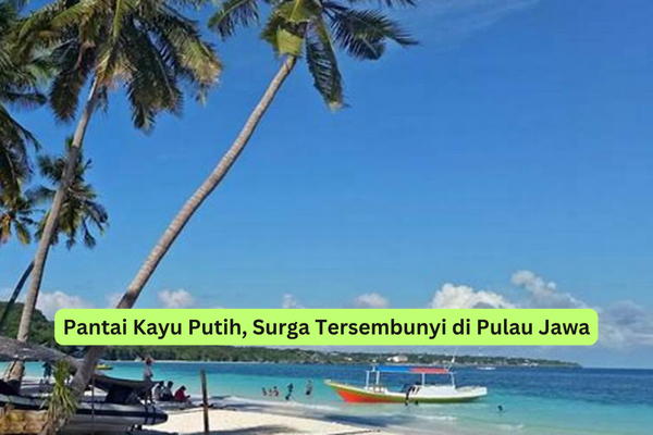 Pantai Kayu Putih, Surga Tersembunyi di Pulau Jawa