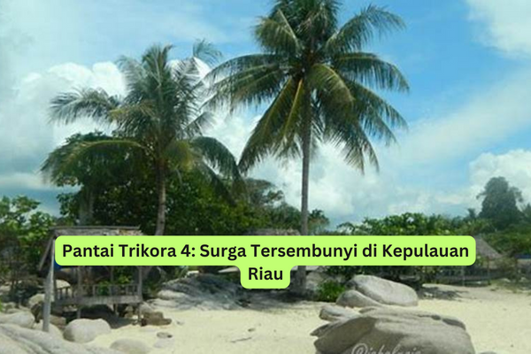 Pantai Trikora 4 Surga Tersembunyi di Kepulauan Riau