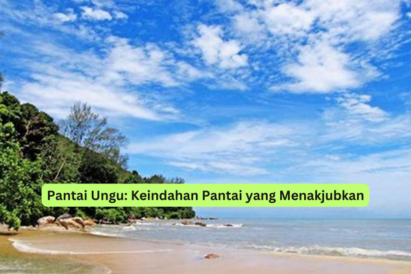 Pantai Ungu Keindahan Pantai yang Menakjubkan