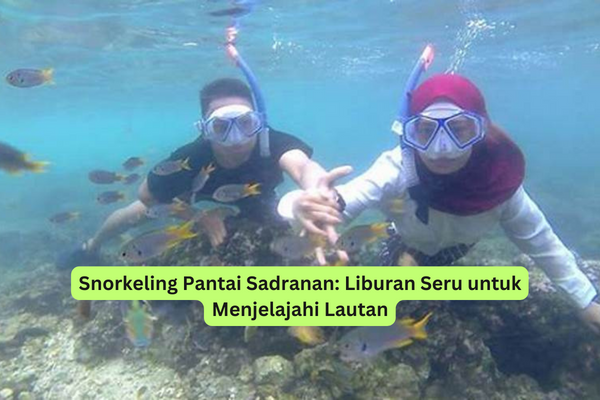 Snorkeling Pantai Sadranan Liburan Seru untuk Menjelajahi Lautan