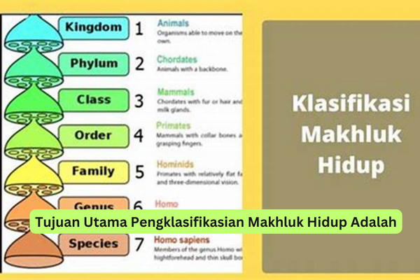 Tujuan Utama Pengklasifikasian Makhluk Hidup Adalah