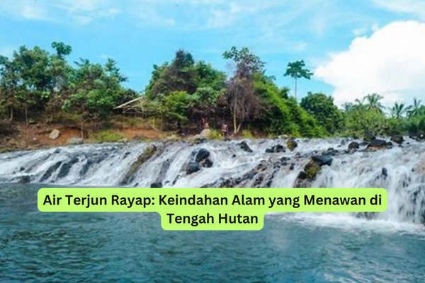 Air Terjun Rayap Keindahan Alam yang Menawan di Tengah Hutan