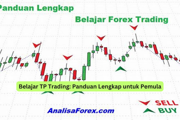 Belajar TP Trading Panduan Lengkap untuk Pemula