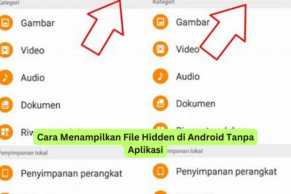 Cara Menampilkan File Hidden di Android Tanpa Aplikasi