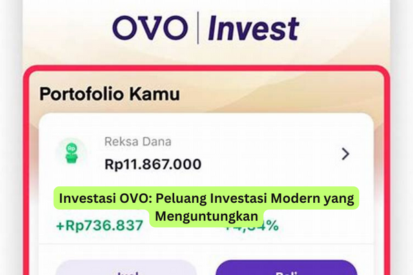 Investasi OVO Peluang Investasi Modern yang Menguntungkan