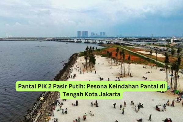 Pantai PIK 2 Pasir Putih Pesona Keindahan Pantai di Tengah Kota Jakarta