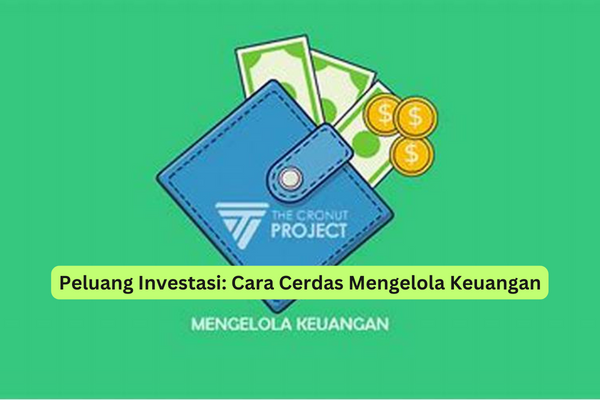 Peluang Investasi Cara Cerdas Mengelola Keuangan