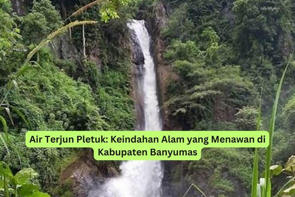 Air Terjun Pletuk Keindahan Alam yang Menawan di Kabupaten Banyumas