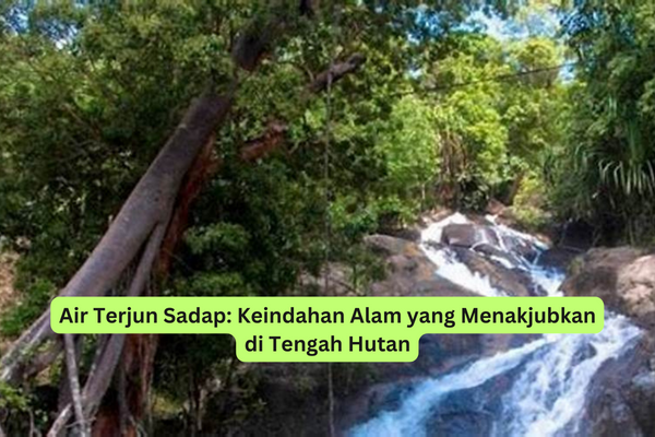 Air Terjun Sadap Keindahan Alam yang Menakjubkan di Tengah Hutan