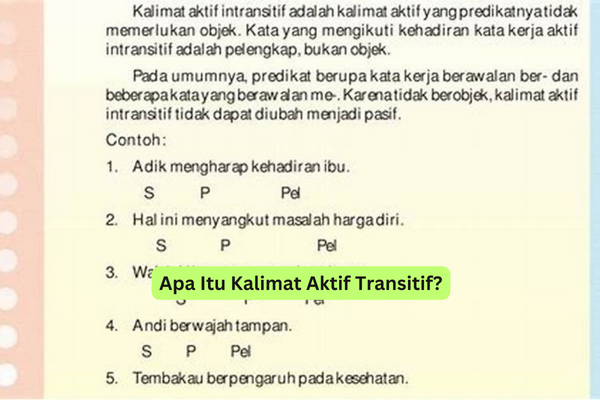 Apa Itu Kalimat Aktif Transitif