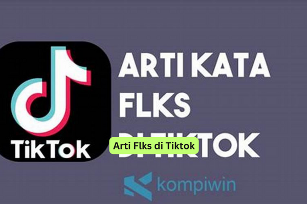 Arti Flks di Tiktok