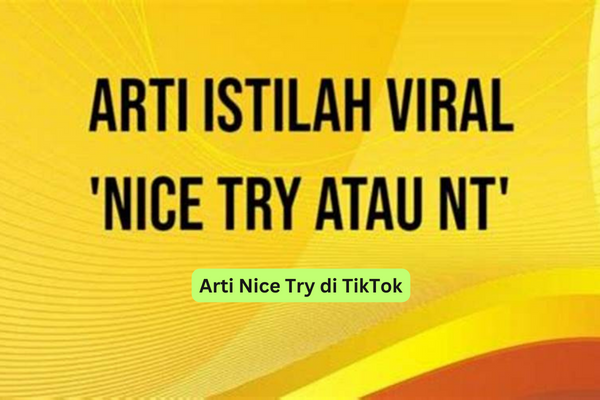 Arti Nice Try di TikTok