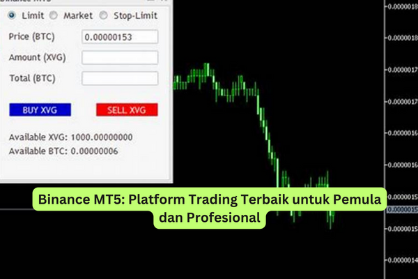 Binance MT5 Platform Trading Terbaik untuk Pemula dan Profesional