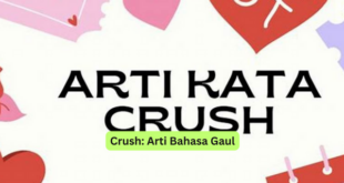 Crush Arti Bahasa Gaul