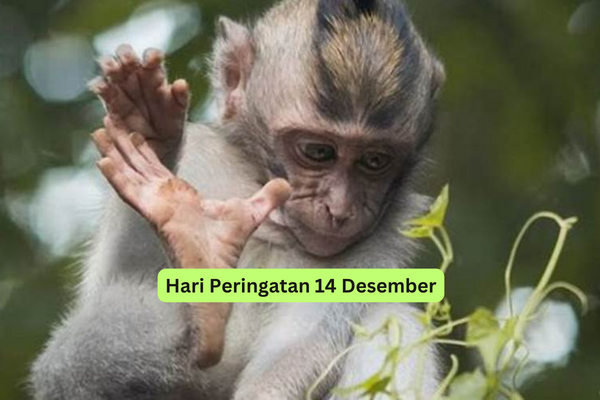 Hari Peringatan 14 Desember