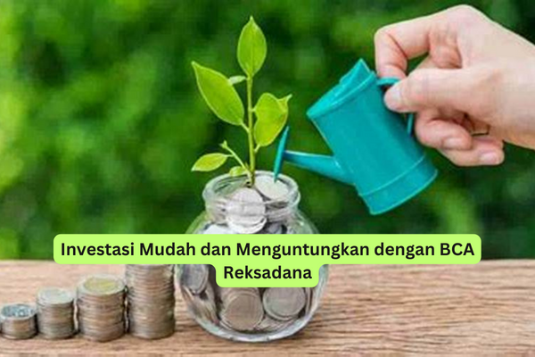 Investasi Mudah dan Menguntungkan dengan BCA Reksadana