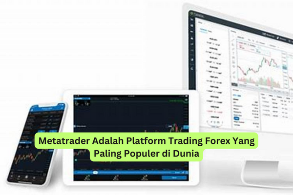 Metatrader Adalah Platform Trading Forex Yang Paling Populer di Dunia