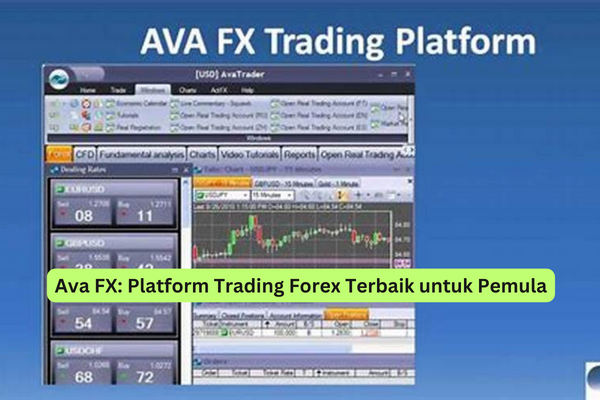 Ava FX Platform Trading Forex Terbaik untuk Pemula