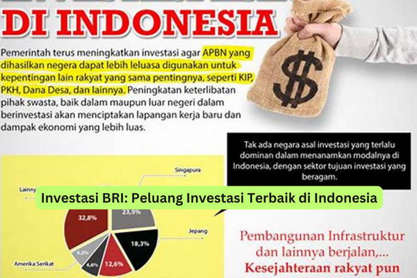 Investasi BRI Peluang Investasi Terbaik di Indonesia