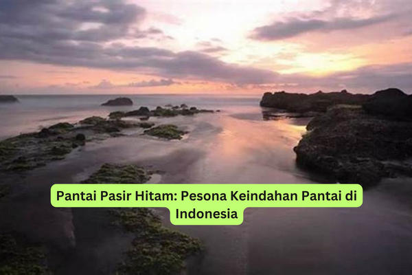 Pantai Pasir Hitam Pesona Keindahan Pantai di Indonesia