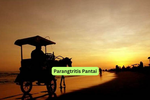 Parangtritis Pantai