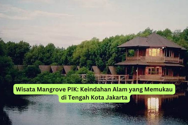 Wisata Mangrove PIK Keindahan Alam yang Memukau di Tengah Kota Jakarta