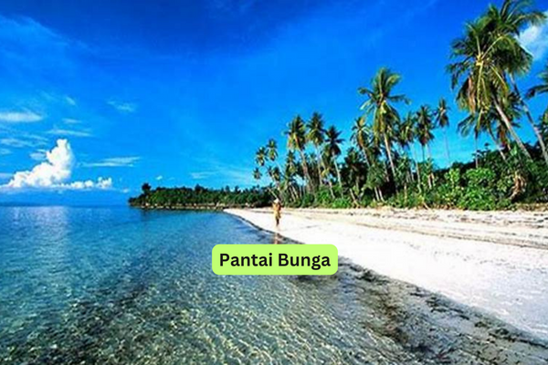 Pantai Bunga