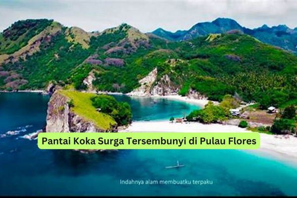 Pantai Koka Surga Tersembunyi di Pulau Flores