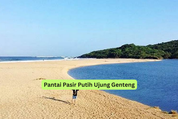 Pantai Pasir Putih Ujung Genteng