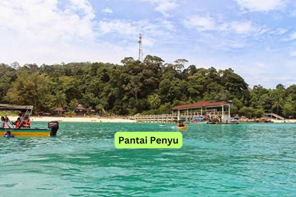 Pantai Penyu