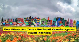 Flora Wisata San Terra - Menikmati Keanekaragaman Hayati Indonesia