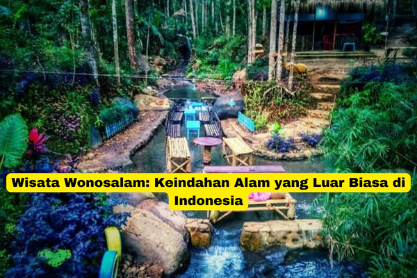 Wisata Wonosalam Keindahan Alam yang Luar Biasa di Indonesia