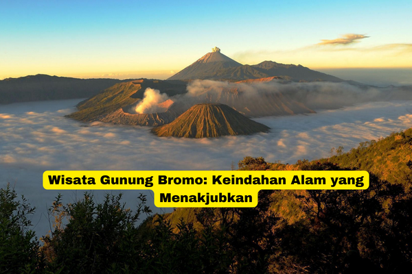 Wisata Gunung Bromo Keindahan Alam yang Menakjubkan